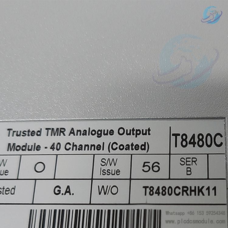 ICS TRIPLEX T8480C Digital Input Module 24Vdc...jpg